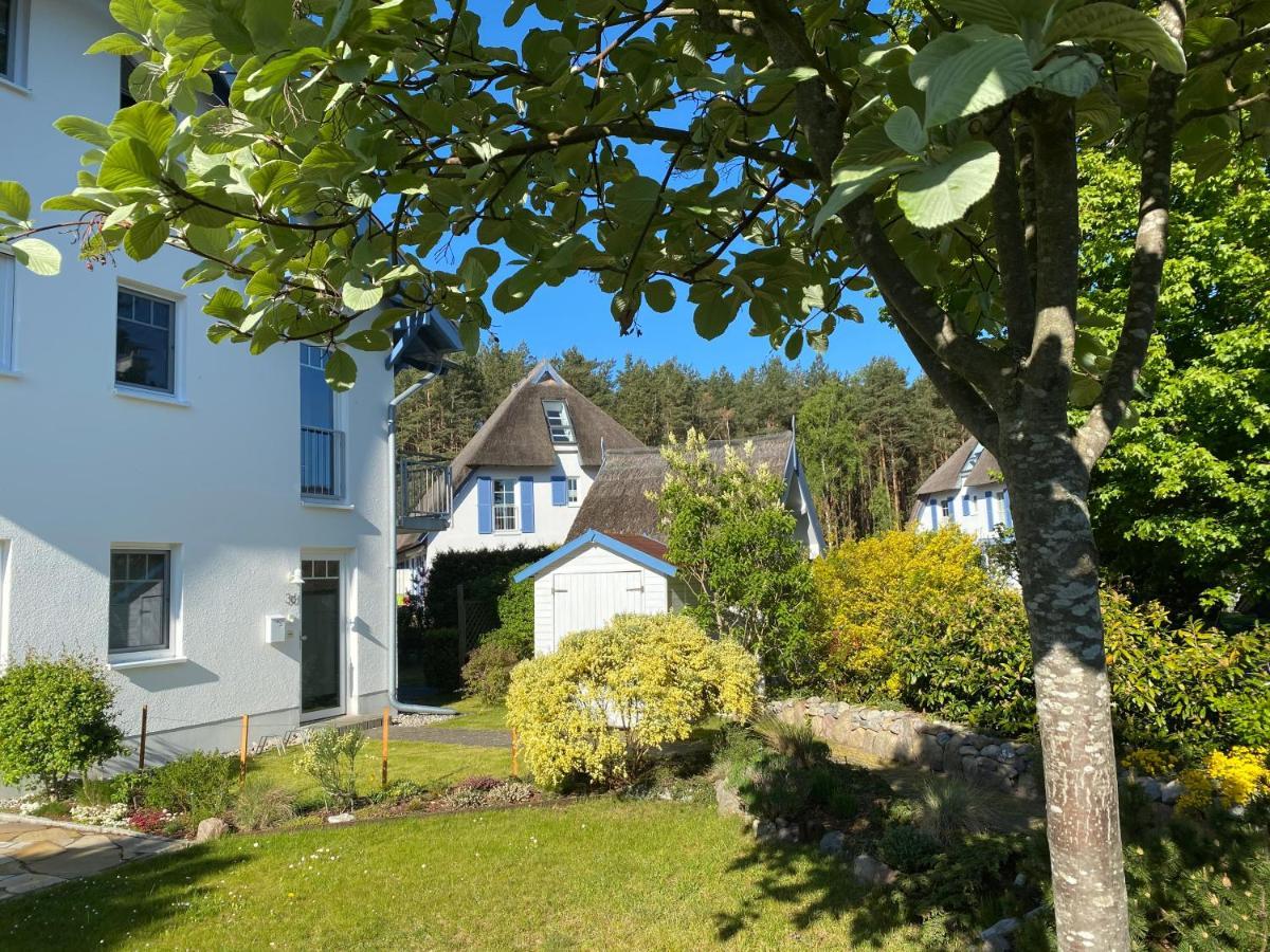 Duenenresidenz Karlshagen - Ferienwohnung Ginsterweg Esterno foto